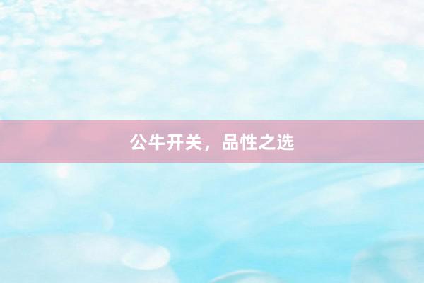 公牛开关，品性之选