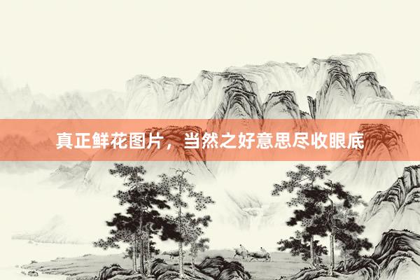 真正鲜花图片，当然之好意思尽收眼底