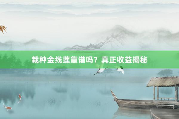栽种金线莲靠谱吗？真正收益揭秘
