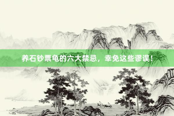 养石钞票龟的六大禁忌，幸免这些谬误！